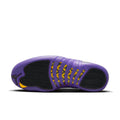 Air Jordan 12 Retro 'Field Purple' CT8013-057